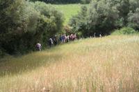 über Wiesen und Felder