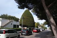 ...macht viel Arbeit...