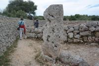 hier ist er nicht...