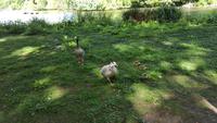 20170514_102301