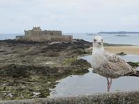 St. Malo