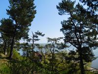 Litauen_Kurische_Nehrung_Nidden (22)