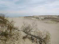 Litauen_Kurische_Nehrung_Nidden_Hohe_Düne