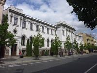 Litauen_Vilnius_Gediminasprospekt