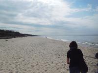 Russland_Königsberger_Gebiet_Kurische_Nehrung (5)