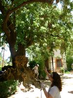 Sevilla Alcazar Gärten