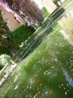 Sevilla Alcazar Gärten