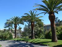 Vatikanischer Garten