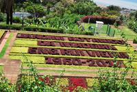 Botanischer Garten Madeiras