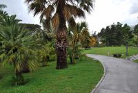 Botanischer Garten Madeiras