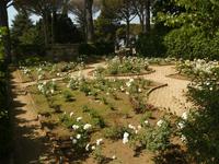 Ravello Villa Cimbrone 11