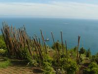 Sentiero dei Limoni 1