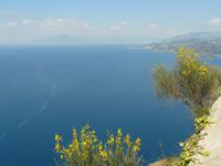 Capri 11