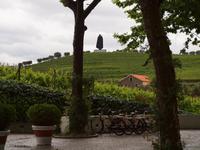 Besuch eines Weinberges bei Peso da Regua - Quinta da Pacheca