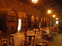 Besuch eines Weinberges bei Peso da Regua - Quinta da Pacheca