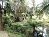 Sao Miguel - Park Terra Nostra