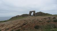 12_Gorsney (2)