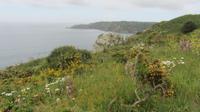 18_Unterwegs auf Guernsey (2)