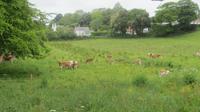 18_Unterwegs auf Guernsey (9)