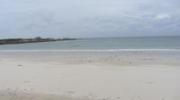20_Guernsey (6)