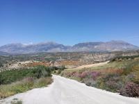 Tag 3: Weingut Zacharioudakis