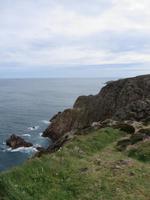 raue Schönheit der Klippen