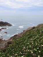 Ausblicke auf die Buchten sind immer wieder schön