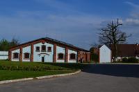 Gestüt Georgenburg bei Insterburg