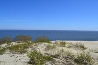 Dünen auf der Kurischen Nehrung