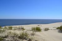 Dünen auf der Kurischen Nehrung
