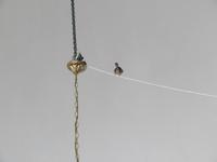 in der Hala Sultan Tekke Moschee bei Larnaca