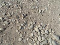 am Felsen der Aphrodite