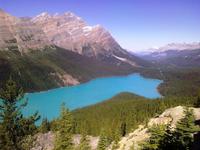 Blick auf den Peyto Lake