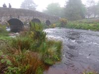 Dartmoor Postbridge 