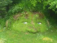 The Lost Gardens of Heligan - The giant head