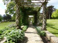 West Dean Garden  Pergola