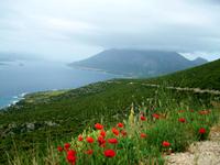 Blick auf Orebic und sv. Ilija