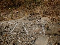  Selinunte : In der Agora ist ein Bildnis der Göttin Tanid zu erkennen.