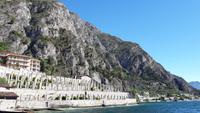 4_Limone_Limonaia