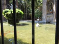 Barcelone, an der Kathedrale