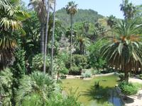 In den Gärten von Alfabia