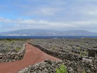 Pico Weinfelder Criacao Velha