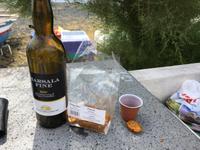 Männertag auf Stromboli (2)