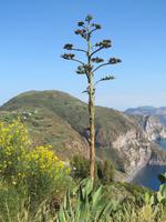 Inselrundfahrt Lipari (3)