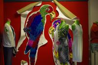 Stadtrundgang in Dresden