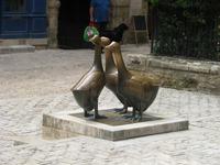Huldigung an die Gänse in Sarlat