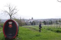 Blick auf Meißen von Schloss Proschwitz