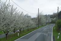 Rundfahrt auf der Sächsischen Weinstraße