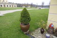 Frühlingswanderung in Moritzburg