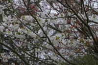 Frühlingswanderung in Moritzburg